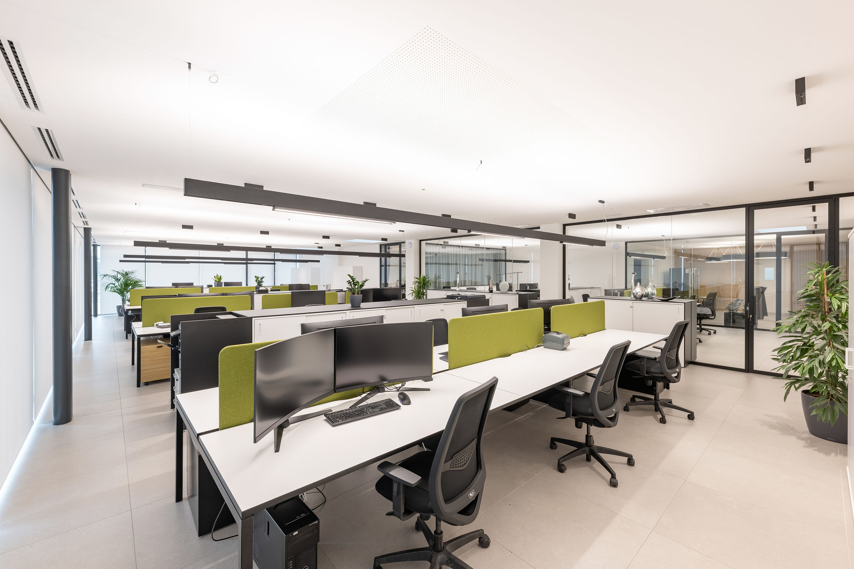 Azienda 7